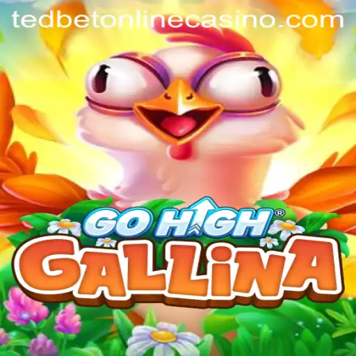GoHighGallina: An Exciting New Experience at Tedbet Casino